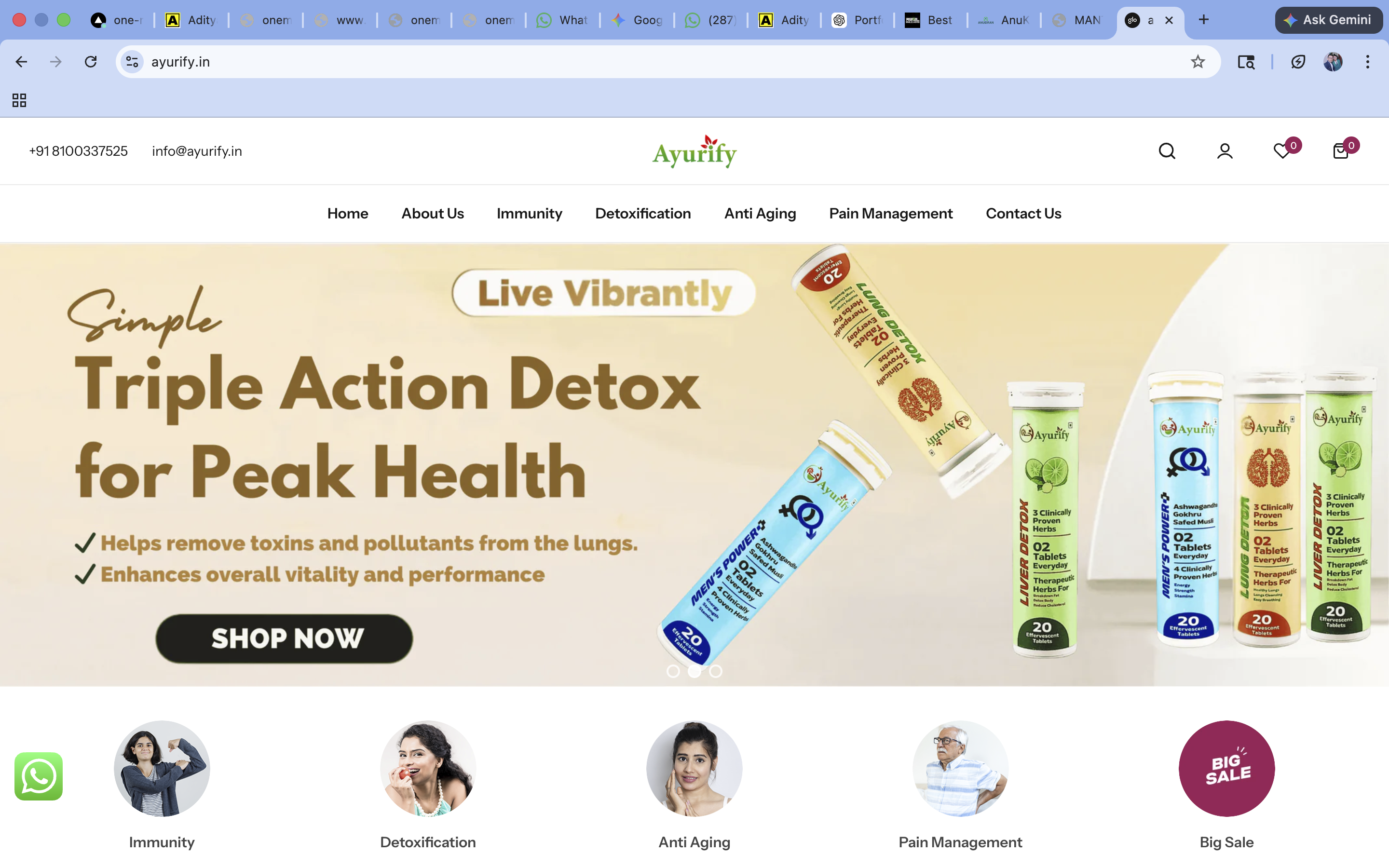 Website Build 07 showcase by ONE MATE SOLUTION